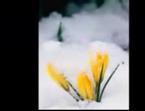 Yalnızlık Kutsaldır - Farid Farjad