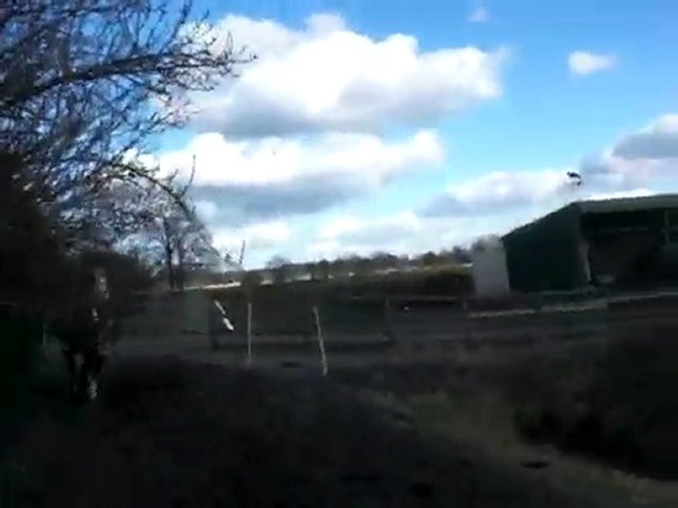 Emma auf der Wiese Teil 2