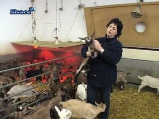 "Du côté d'Ici" dans les Appalaches Alsaciennes (13/03/2010)