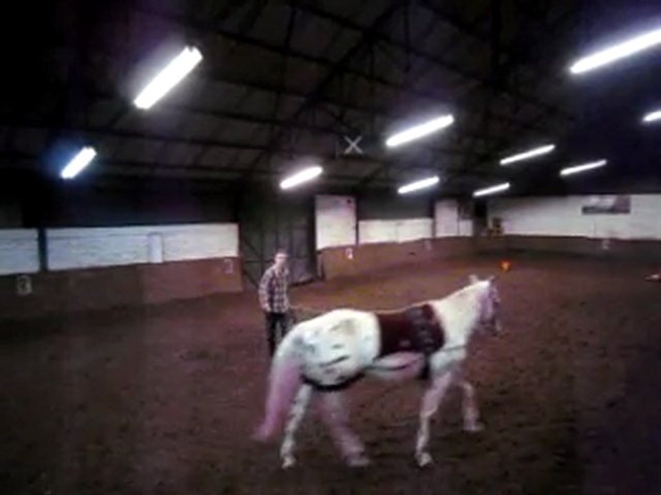 Raphaël travaille son cheval  au pessoa au manège El Cortijo