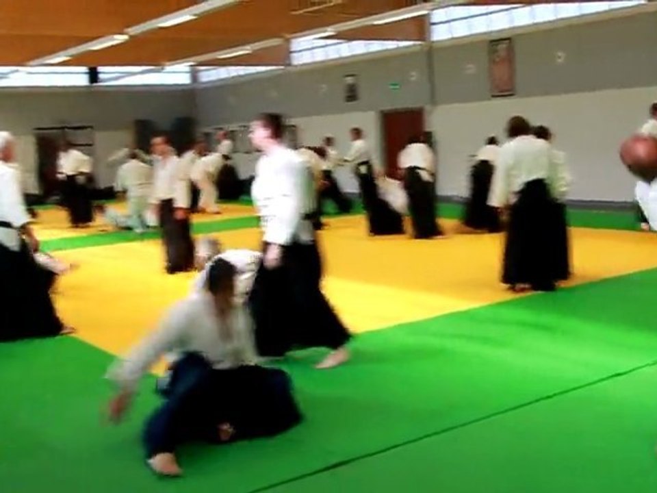 Shiho nage