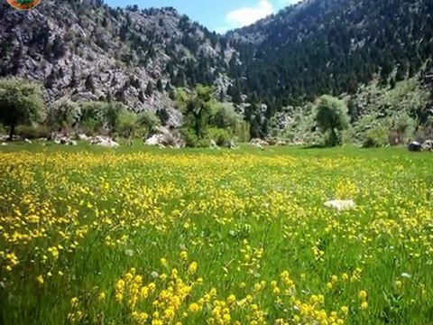 Çamlık Kasabası Tanıtım Videosu