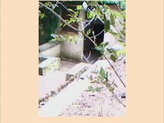 Petit détour dans le Parc