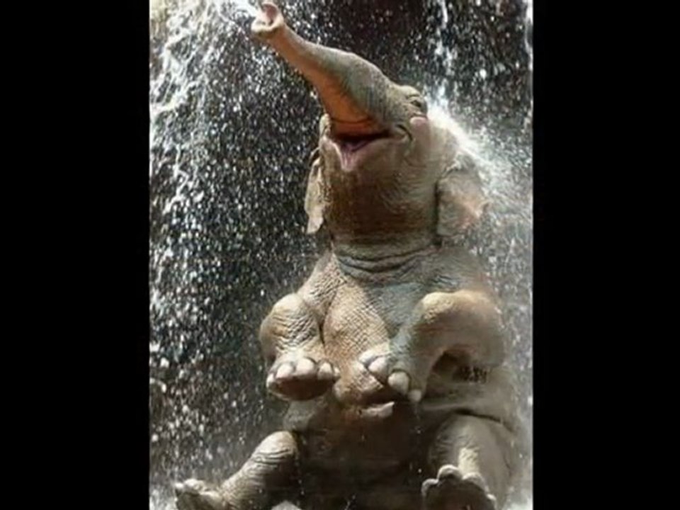 Mon royaume n'est pas de ce monde † Heaven & Hell