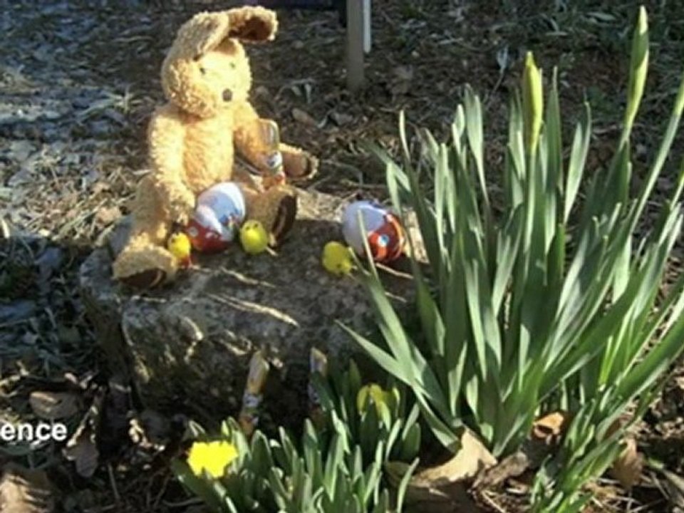 La Photo du Mois d'Avril 2010.m4v