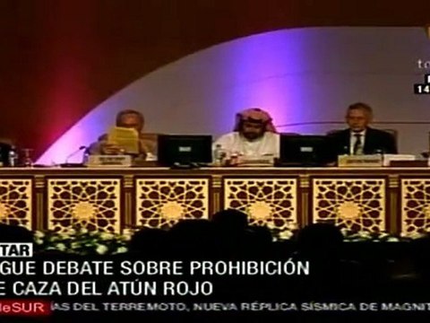 Debaten en convención de especies amenazadas