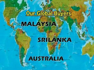 Pre-Cured Tread Type Hydraulic Press