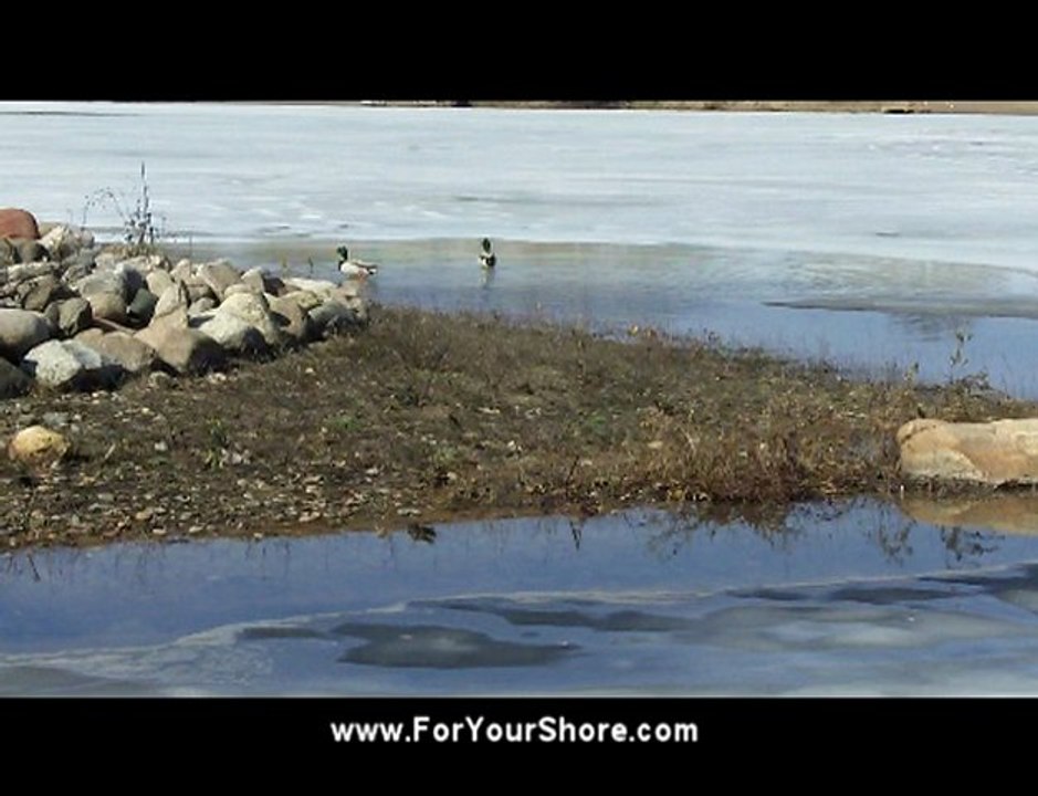 Melting Ice on a lake or pond