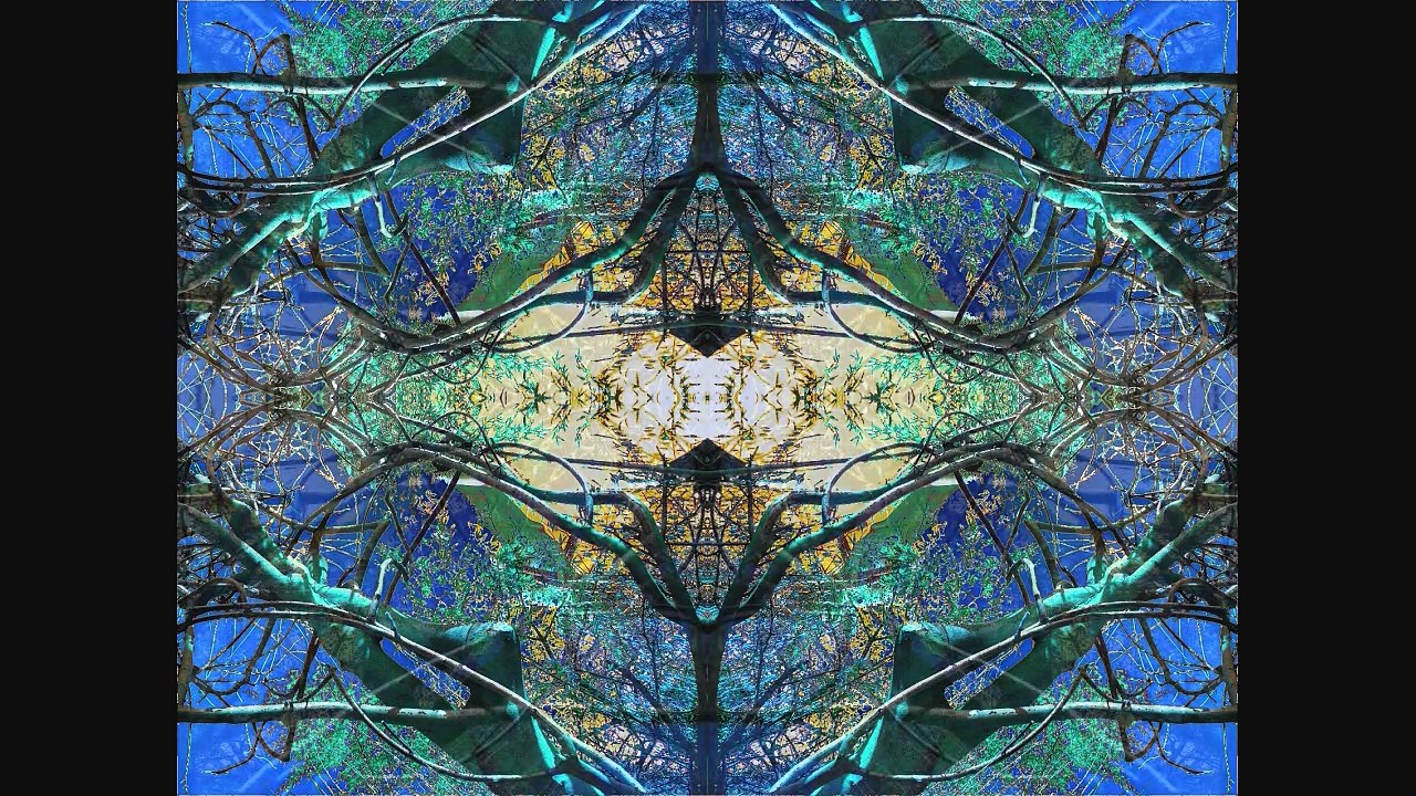 Sculptures-Vivantes en Métamorphose le 12 fevrier 2010