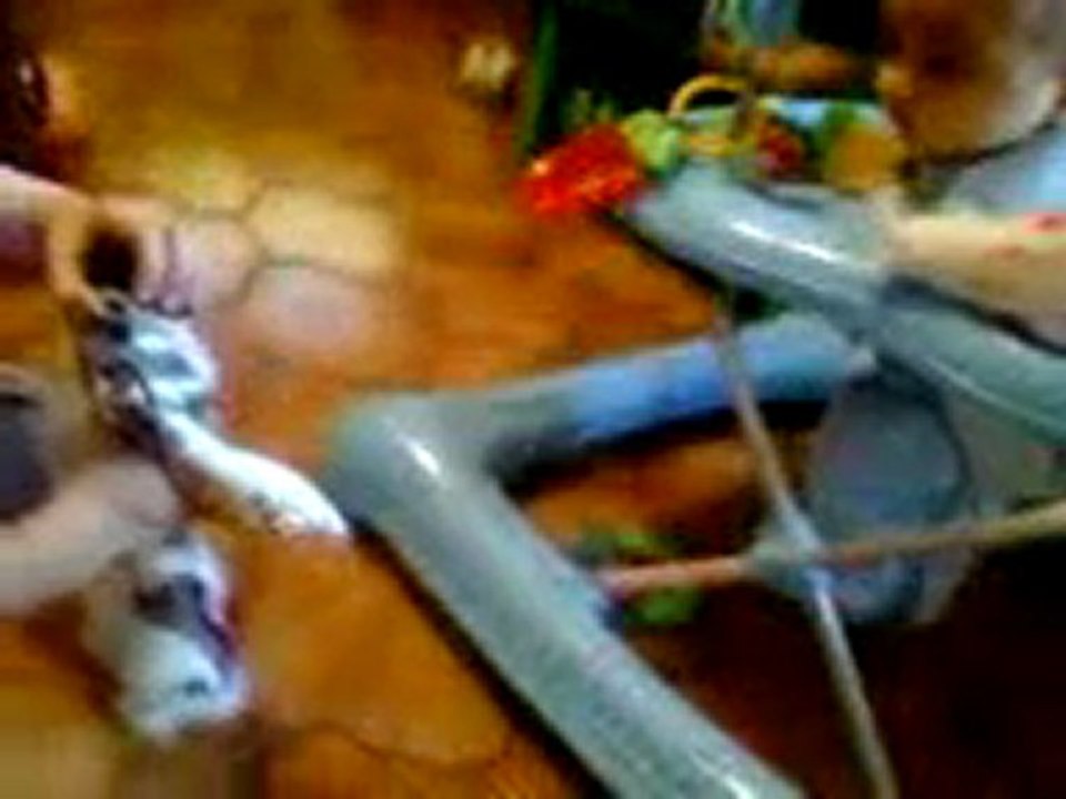 fevrier 2010 nathan captivé par le robot