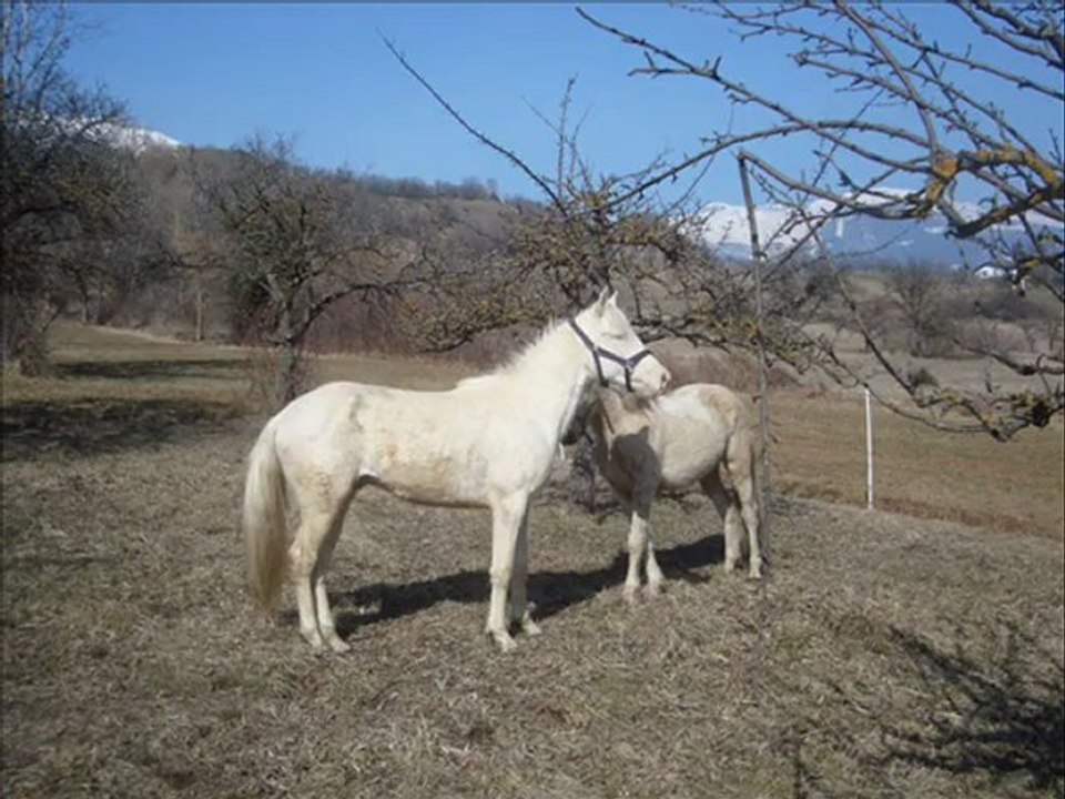 14-03.2010