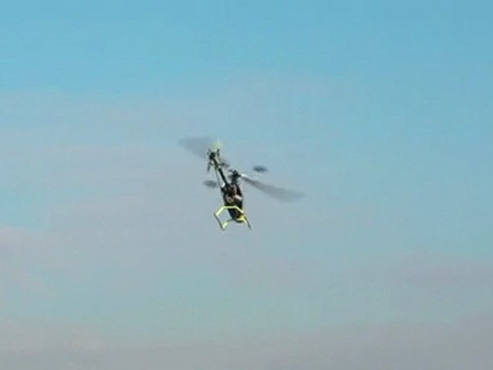 T-REX 500 looping arrière