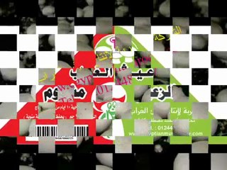 Egyptian Mushroom Company