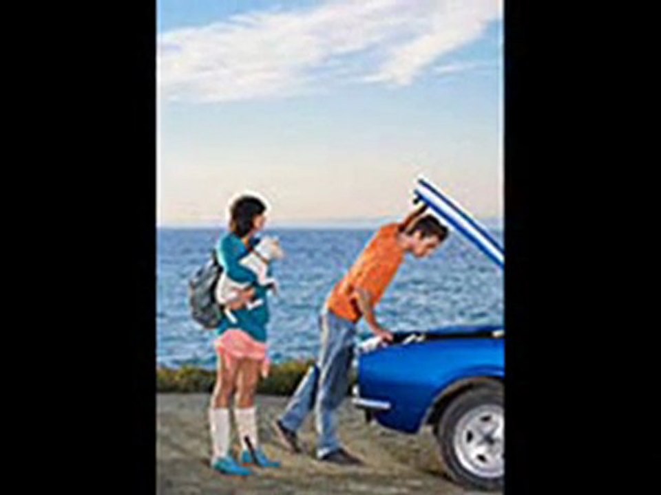 Create Insurance for Your Pet Dog