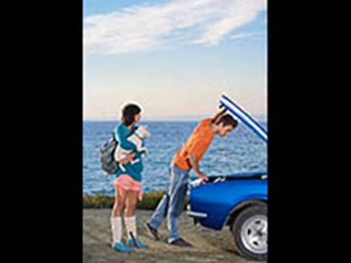 Create Insurance for Your Pet Dog