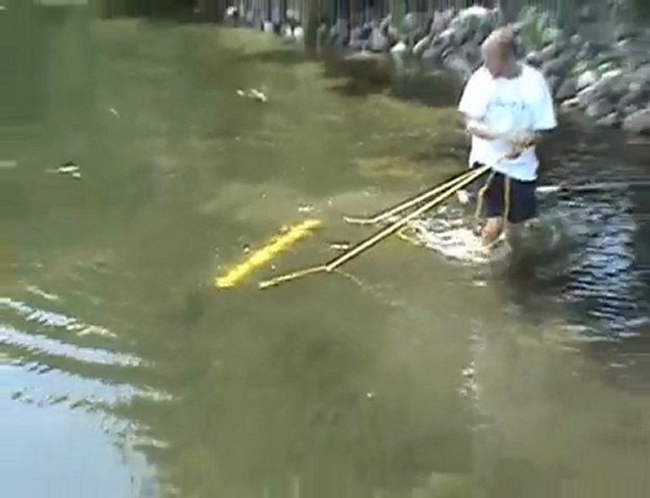 How To Buy A Lake WeedRoller Options