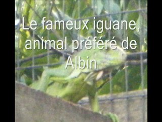 Voyage en Guyane février 2010