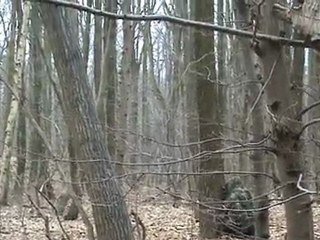 AIRSOFT AVEC LA LIGA93 LE 14:03:2010