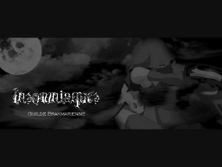 Délires Skype avec les Insomniaques =)