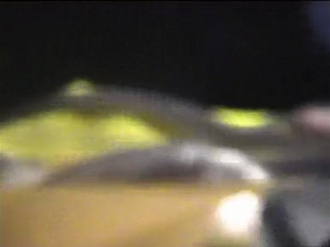 Elections régionales au MoDem : Bonne soirée ...