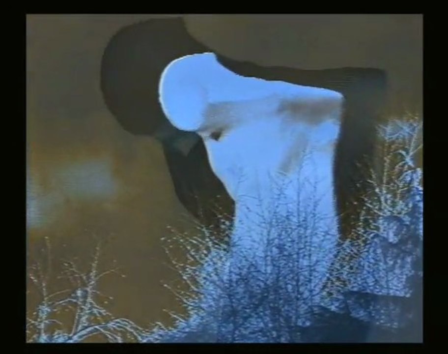 L'été d'une chrysalide - chorégraphie/danse Béatrice Reynier