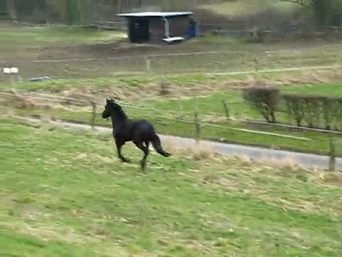 Ulys prairie 15 mars