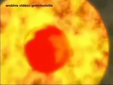 Apocalypsis 19 - La Mutation de notre Terre a commencé