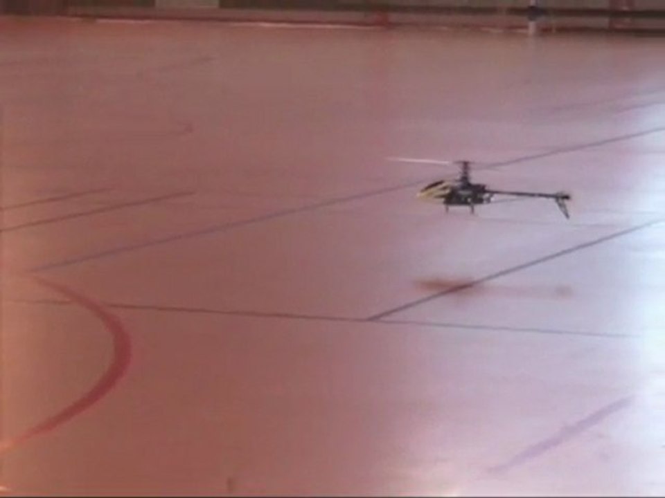 Didier aux Toupets le 14-03-2010 avec son Trex 450