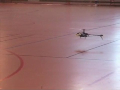 Didier aux Toupets le 14-03-2010 avec son Trex 450