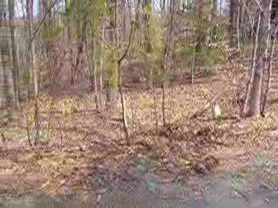 Buy Land Fluvanna, Land For Sale Lake Monticello