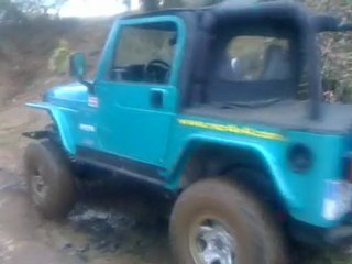 JEEP TJ 4L FLEX