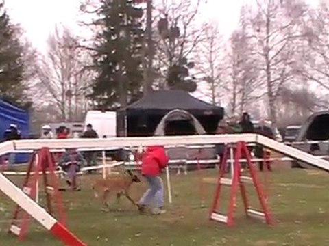 1er degré viper Chécy