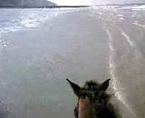 Ouzo plage 14mars 2010