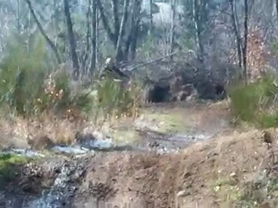 Quad sur un petit terrain avec vivien cédric et moi