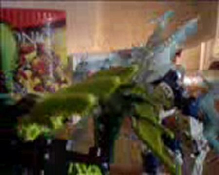 Bionicle, arena magna:Gelu VS Gresh