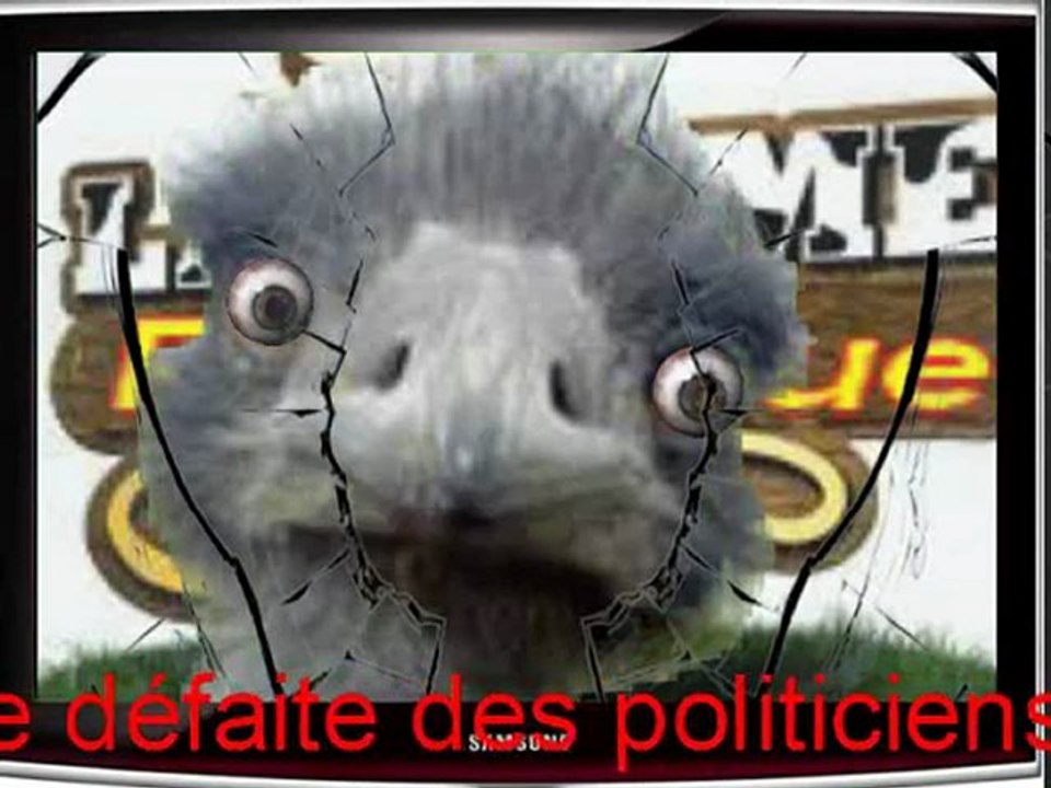 Election-La ferme