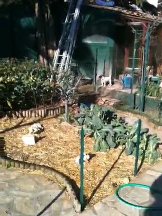 Hugo et Arthur font les FouFouFou !!