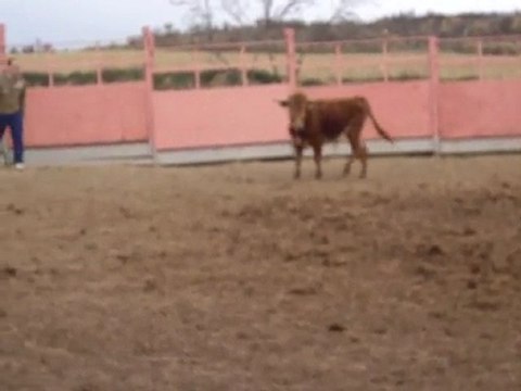 Capea en Logroño La Rioja (despedidas de solteros)