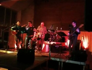 Mademoiselle Chante Le Blues