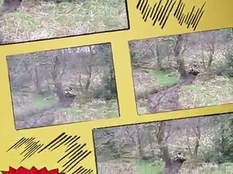 film rando quad meslan 14 mars 2010