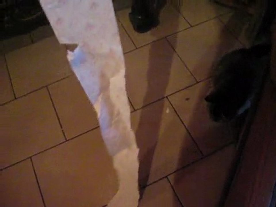 nina la voleuse