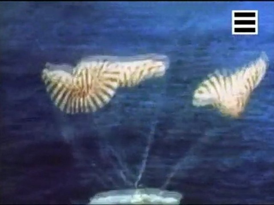 Sommes-nous descendants d'une race extraterrestre   -2_3