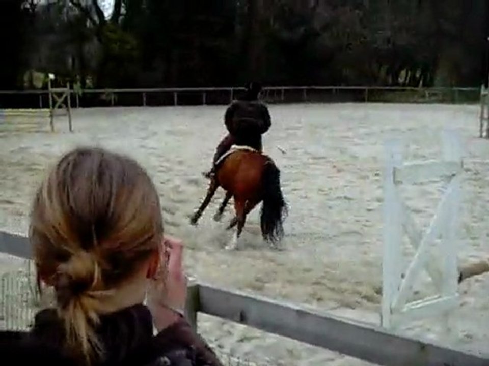 C.S.O d'entrainement Epreuve 90cm