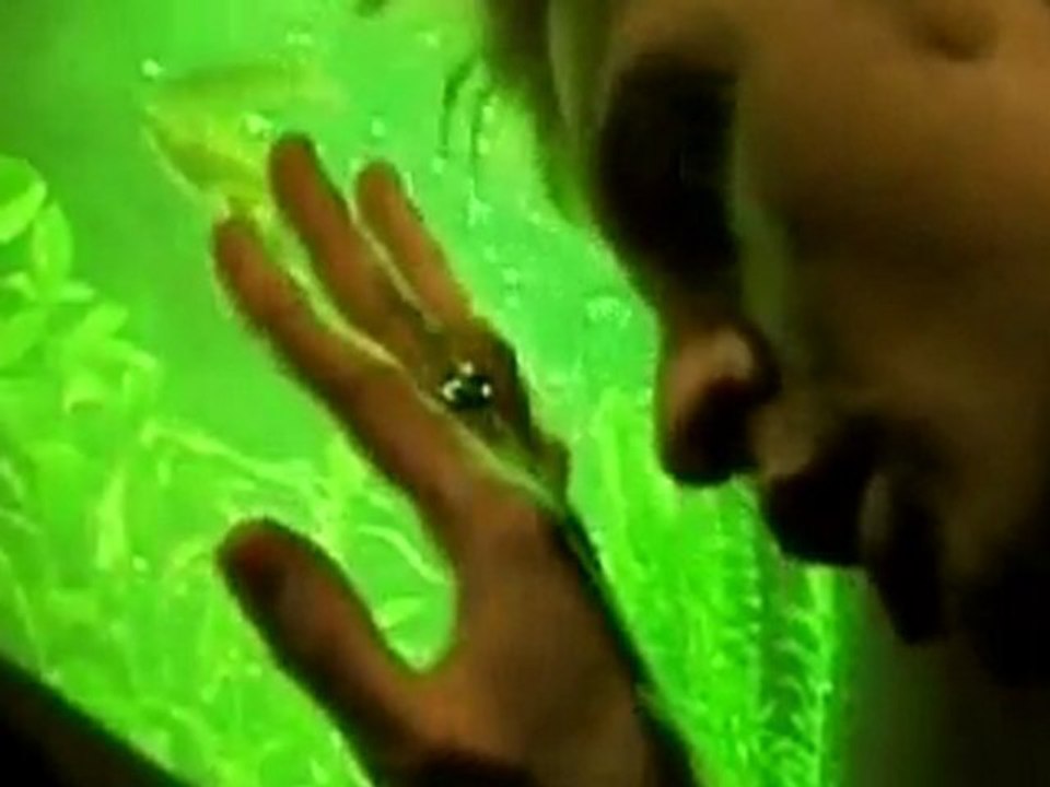 no sleep by stoned orange