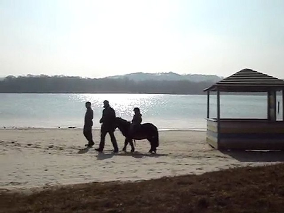 poney sur la plage la grande classe !!!