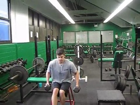 Vertical Jump Training | Plyometrics | Jump Higher