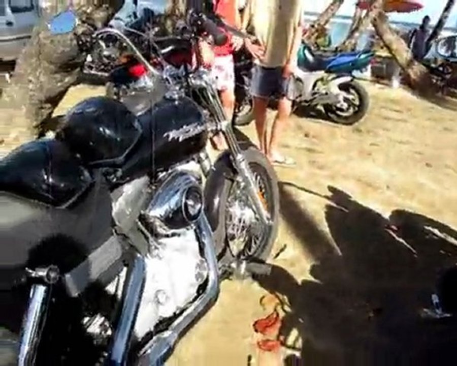 jolies harley