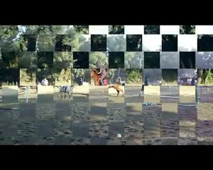 Reprise du 13 février 2010