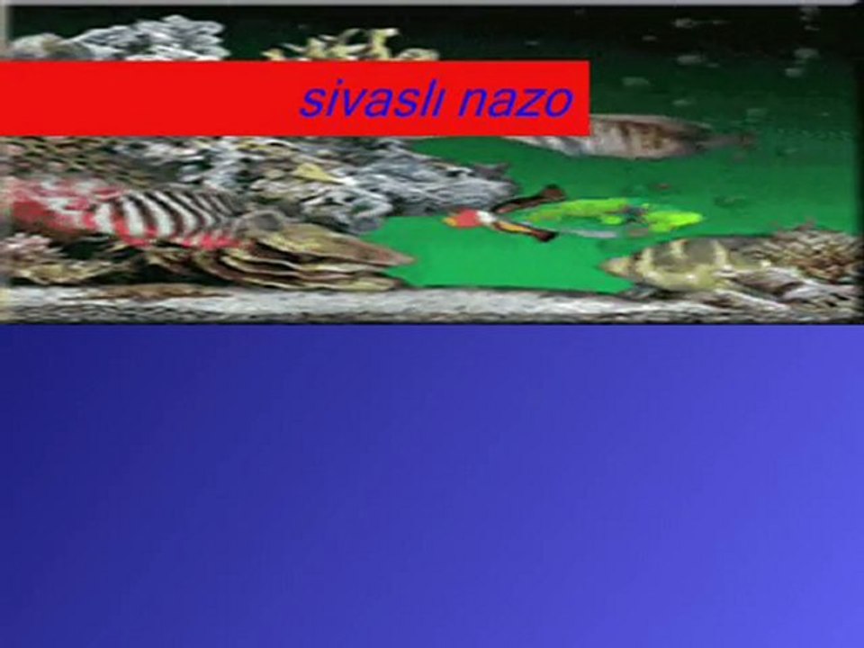 agrıdagın eteginde