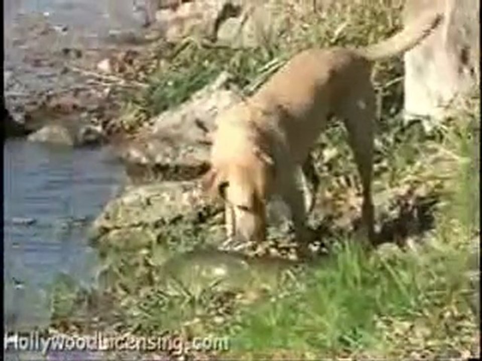 Un bon pêcheur